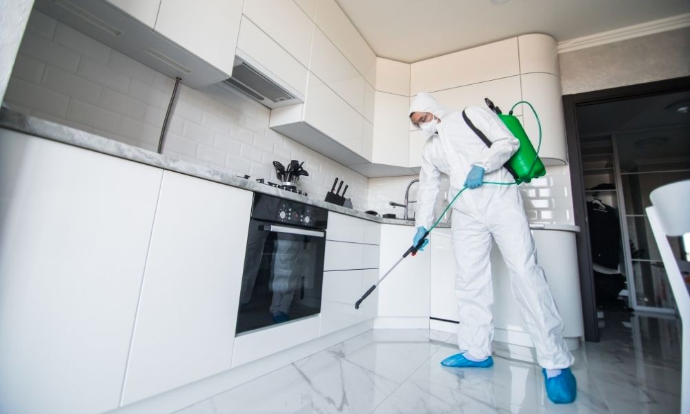 The Must Consider Reasons to Hire Home Mould Remediation Professional