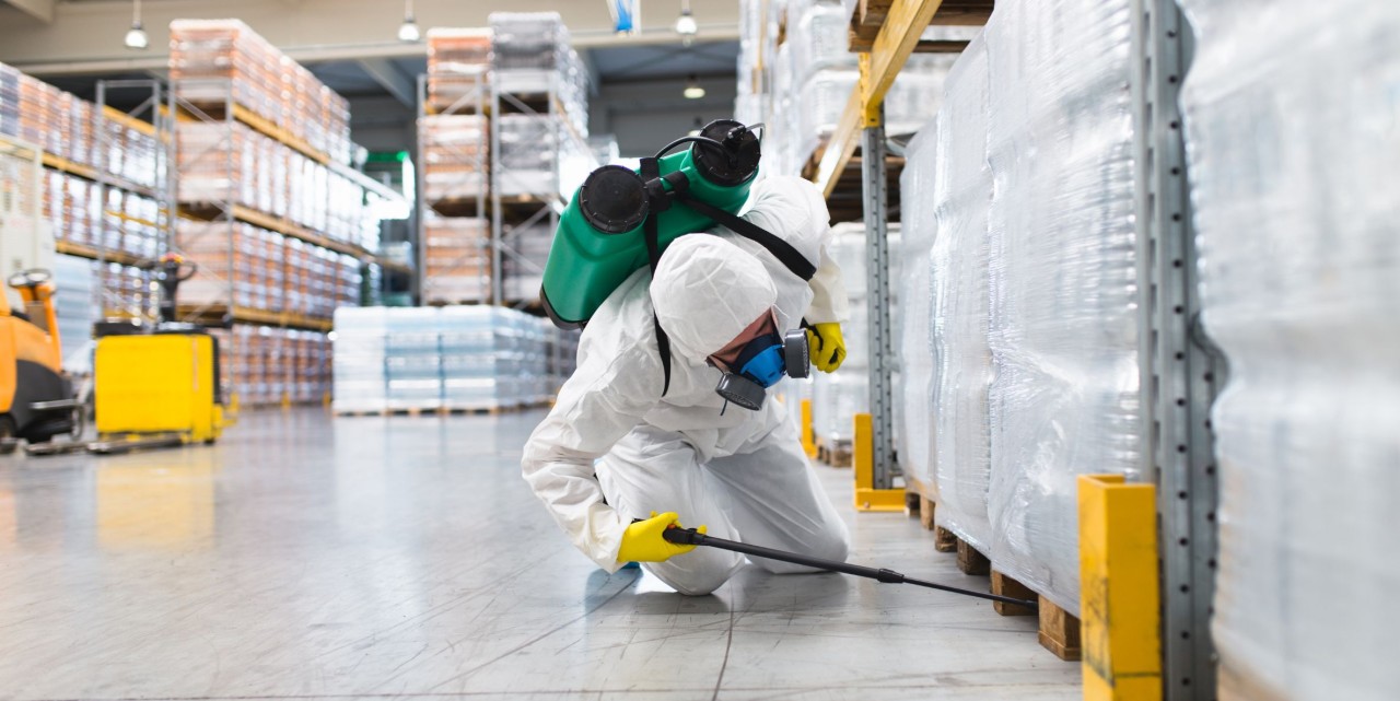 7 Factors to consider before finalizing a pest control company